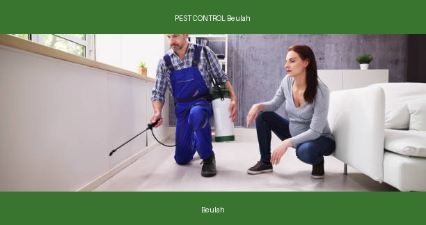 PEST CONTROL Beulah
